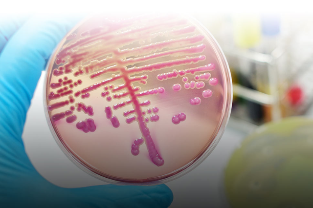 infectious diseases specialists kalewadi