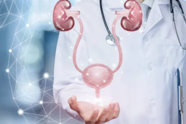 urology specialist in kalewadi pune