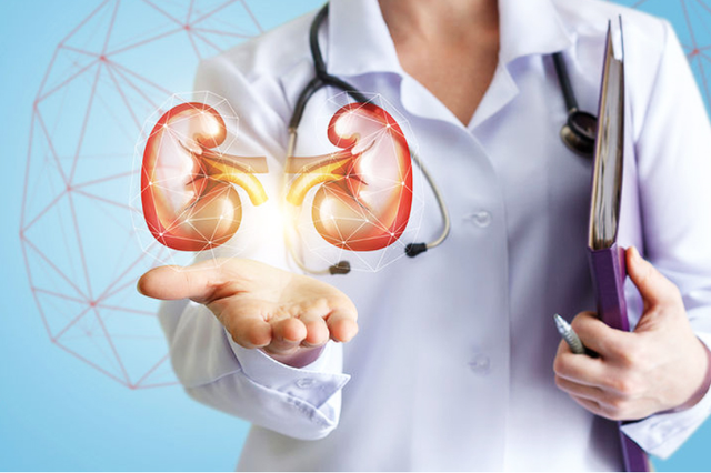 best kidney specialist in pune