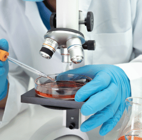 Medical Service Image